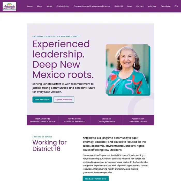 State senate political campaign website with distinctive purple and teal branding