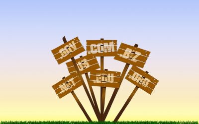 Alternate Domain Names for Campaign Websites