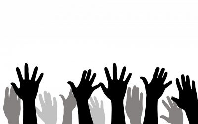 Political Resources Included For Online Candidate Clients
