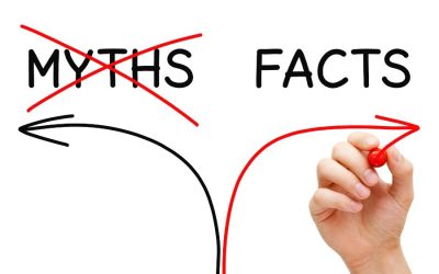 5 Myths About Political Candidate Websites