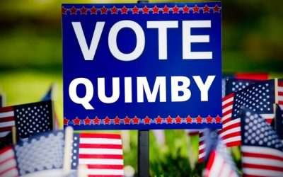 DIY Homemade Political Yard Signs