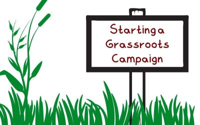 Starting a Local Grassroots Political Campaign