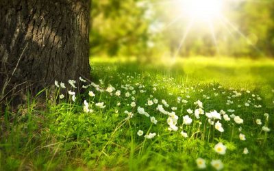 Spring Cleaning For Your Campaign’s Social Media