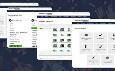 Choosing a Political Campaign CMS