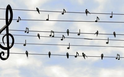 5 Common Campaign Twitter Mistakes