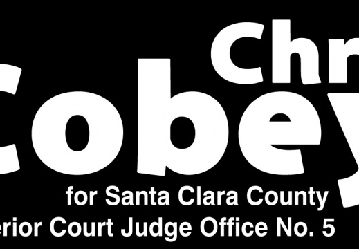 Judicial Campaign Logo