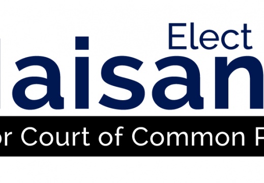 Judicial Campaign Logo DM (11531 visits) Judicial Campaign Logo DM