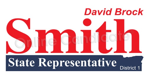 State Representative Campaign Logo DS