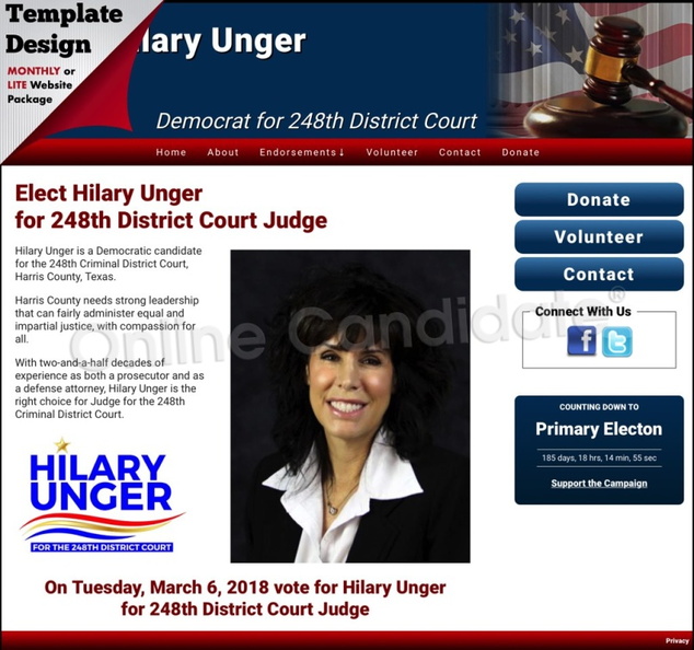 Hilary Unger Democrat for 248th District Court.jpg