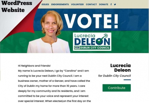 Lucrecia Carolina Deleon for Dublin City Council 2020