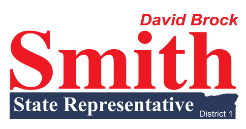 State Representative Campaign Logo DS (10461 visits) State Representative Campaign Logo DS