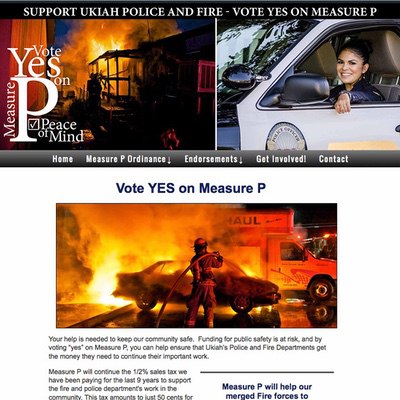 Ballot Measure Election Client Campaign Website Example