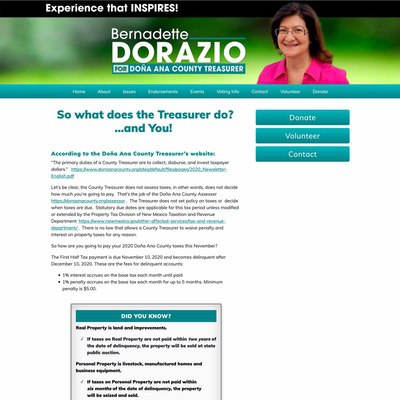 Treasurer Election Client Campaign Website Example